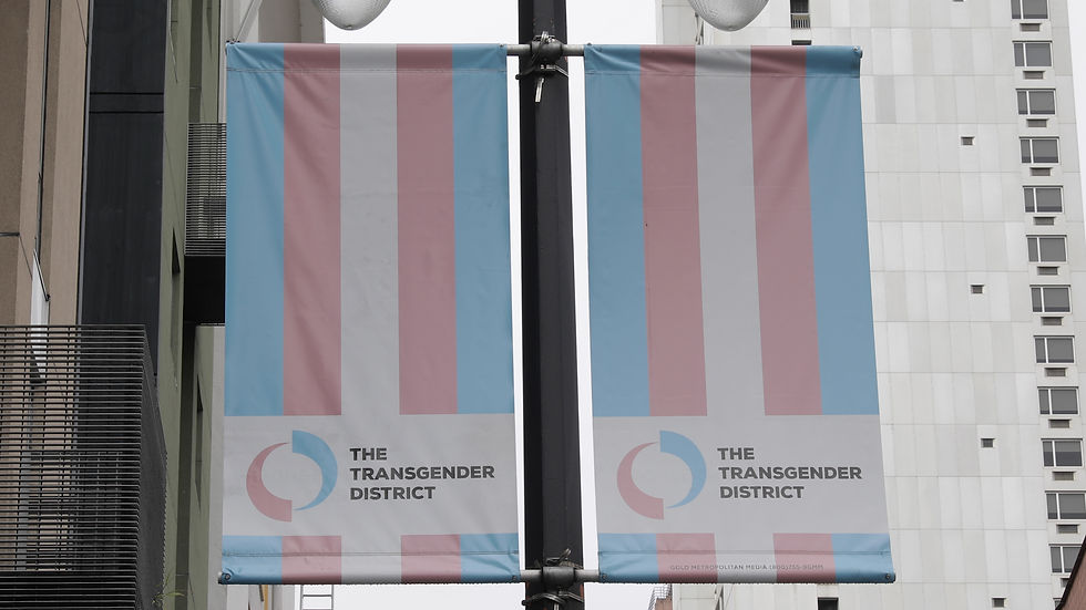 Trans District - Best Image.jpg