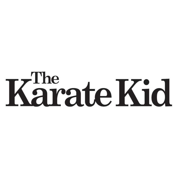 The Karate Kid Logo