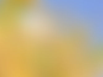 ＜終了＞【つくば】それぞれの夢中に飛び込む ごきげん農業プログラム2022～お米体験コース～