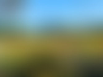 ＜終了＞【つくば】地球を黄色く染めようプロジェクト〜第1回〜