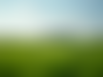 Harnessing Renewable Natural Gas for a Greener Future