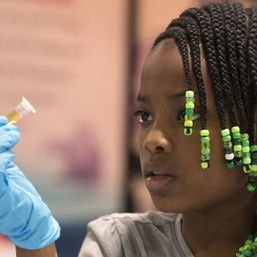 自宅で手軽に実践できる5つのSTEM-tasticなチャレンジ 