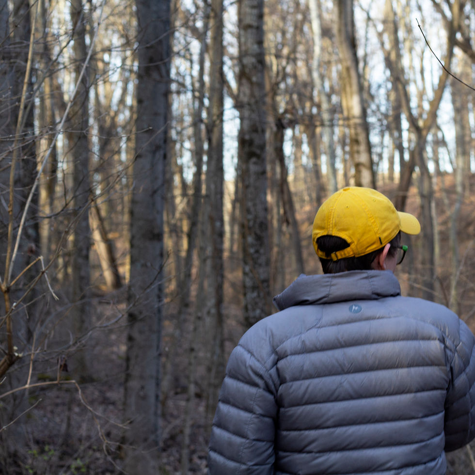A pop of yellow from the hat, creates life to the leafless trees in the woods.