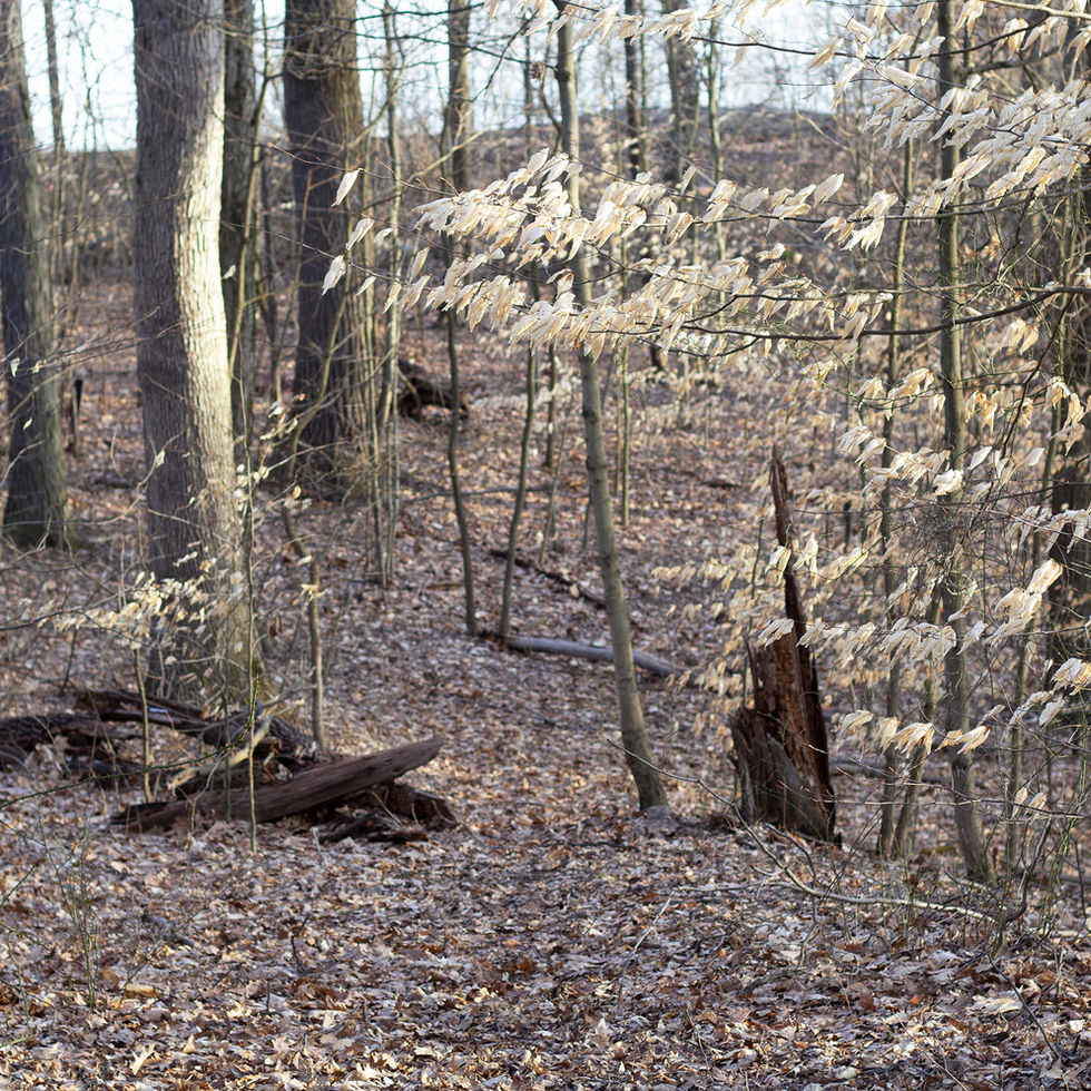 One positive to hiking during winter, you can see the mountain lines in the distance.