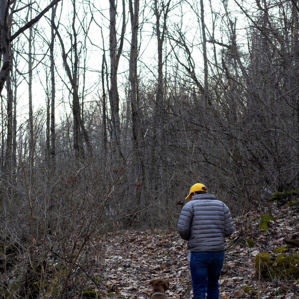 Adventuring in your backyard can also mean exercise for your pets.