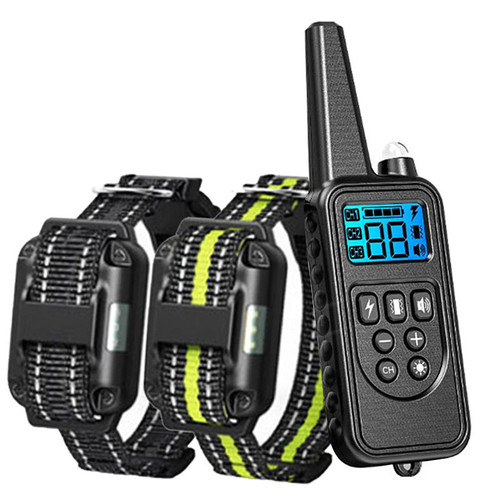 pettech training collar