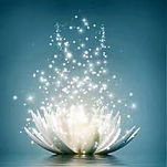 Copy of lotus white.jpeg
