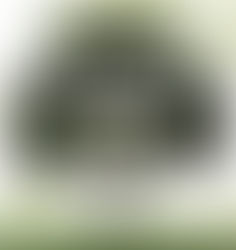 AND YOU SHALL KNOW THEM