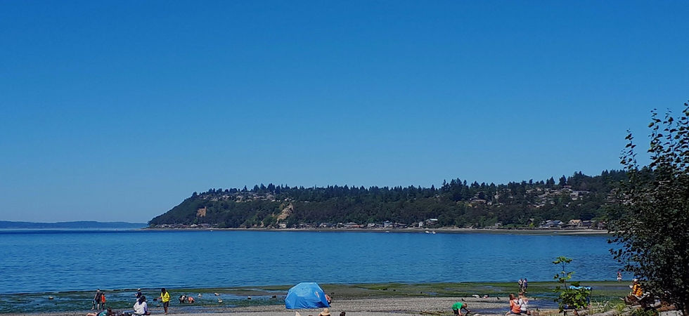 Seahurstthe-view-across-the-bay.jpeg