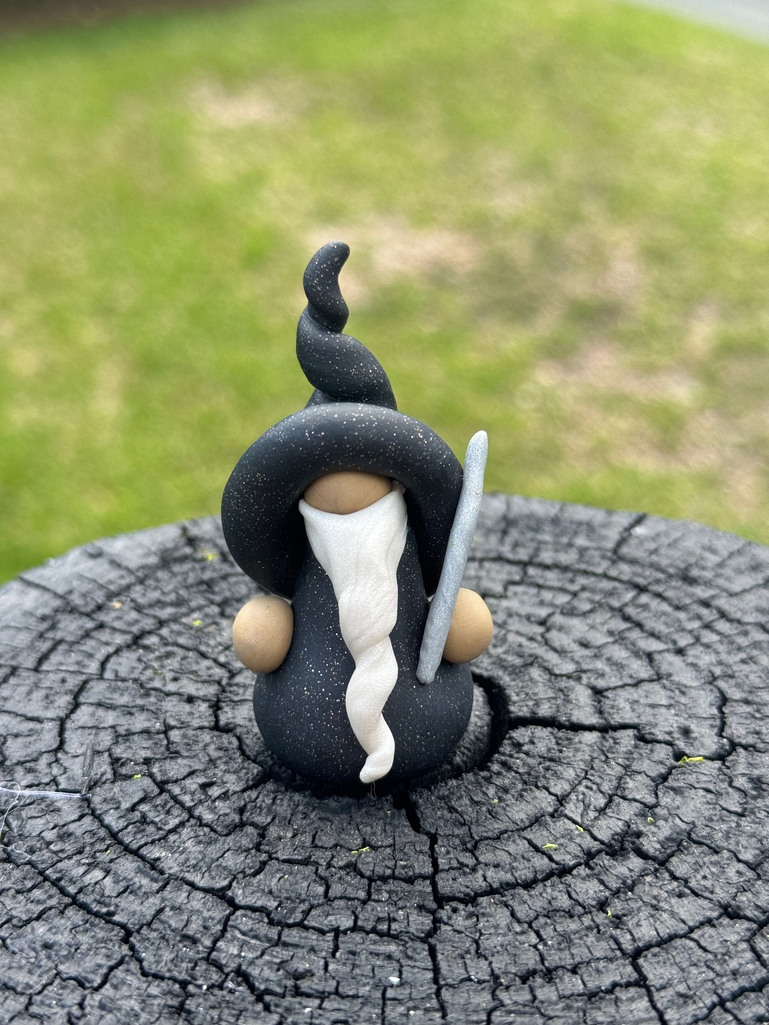 Mountain Wizard