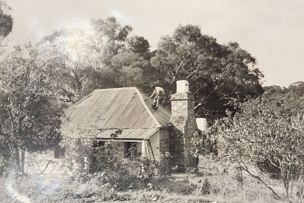 Horrocks Cottage Roof Project