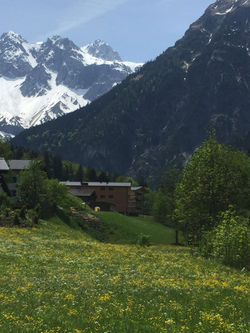 Haus la Montanara im Frühling