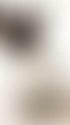 Experimental Perfume Club | Creating our own fragrance