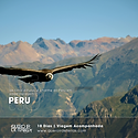 PERU __ 10D Acompanhada.png