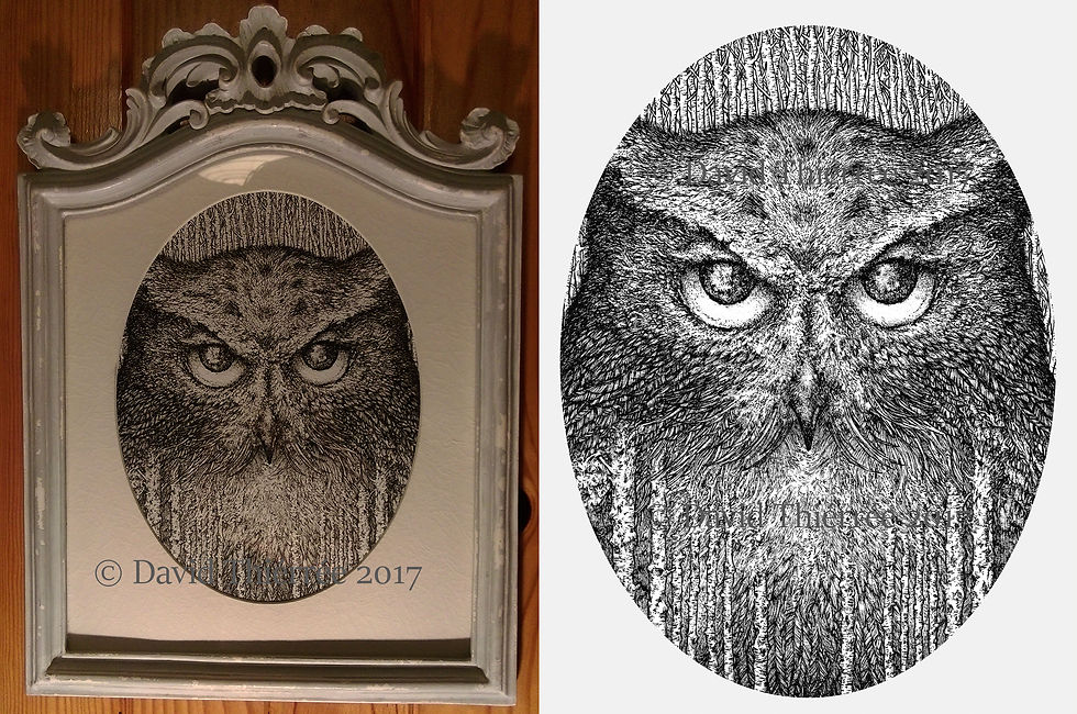 Woods Owl Ink drawing