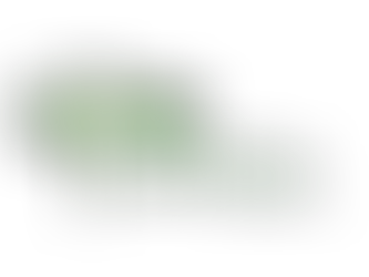 Natural & Non-Toxic Supplements