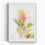 Thumbnail: Framed print: Grevillea 'Peaches and Cream'