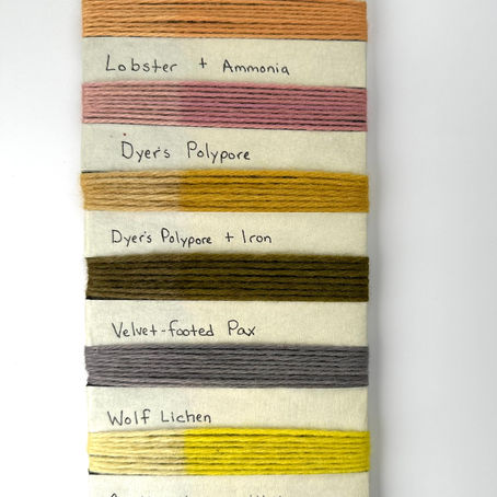 Lightfastness of Natural Pigments