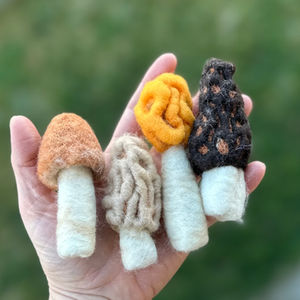 Funky Felted Fungi 