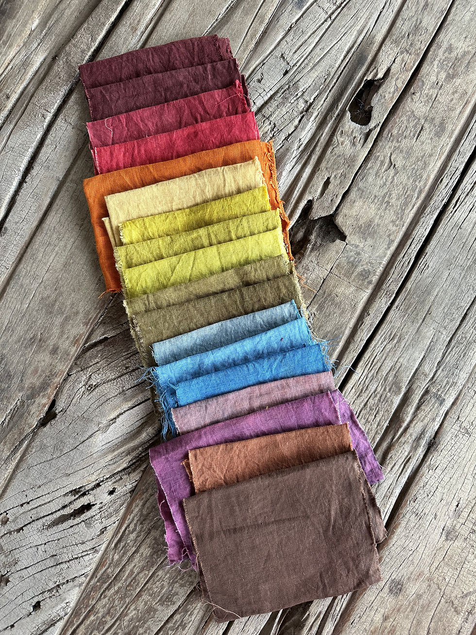 Thumbnail: Garden Dyes Sampler - September 5th