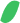 Path_green2.png