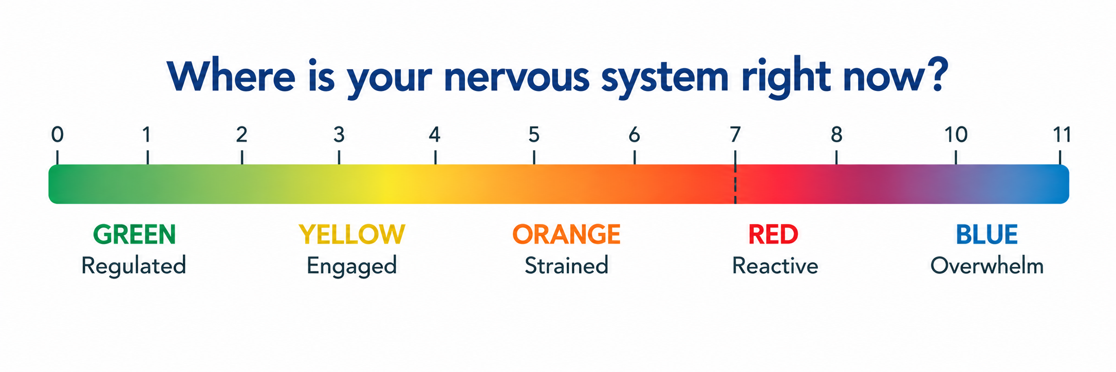 Where is your nervous system right now?