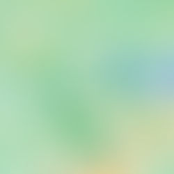 Atlanta Rug Cleaning - 12/02/22 Rug Runner Route