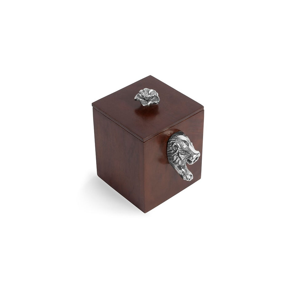 Thumbnail: LION ON THE BOX