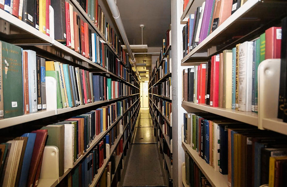 Library stacks 2.jpg