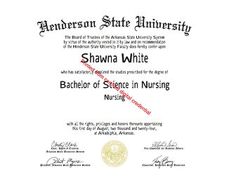 2024 Bachelor of Science in Nursing Degree conv 1.jpeg