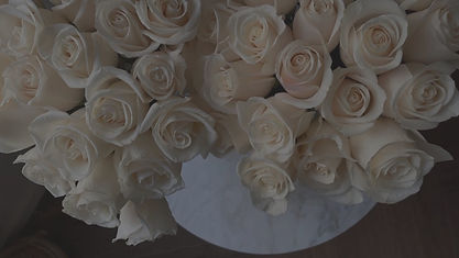 white-rose-aesthetic-cvmyg87x8tv7qqeg_edited_edited.jpg