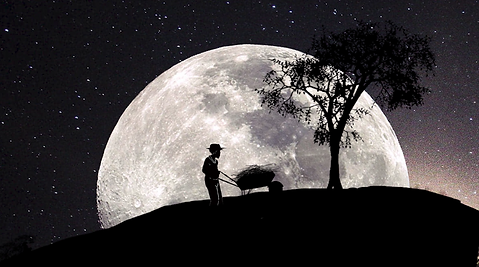 Capture d’écran (16).png