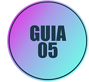 GUIA5.png