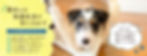 HPトップ画像_edited.jpg