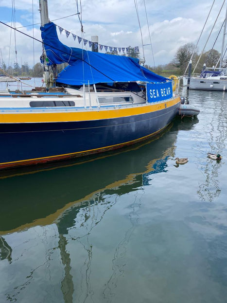 WhatsApp Image 2022-04-27 at 10.38.06 PM.jpeg