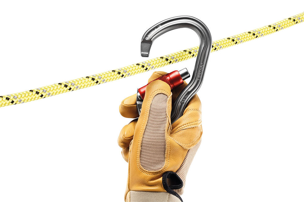 Thumbnail: VERTIGO TWIST-LOCK - Carabiner for PROGRESS progression lanyard