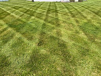 Mowing