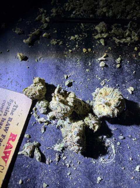 Cannabis buds and RAW Classic paper, cannabis strains for anxiety on a frisbee thats been used as a rolling tray since the 1960's. Only Accessibility required customers know about that. that frisbee is generational!!