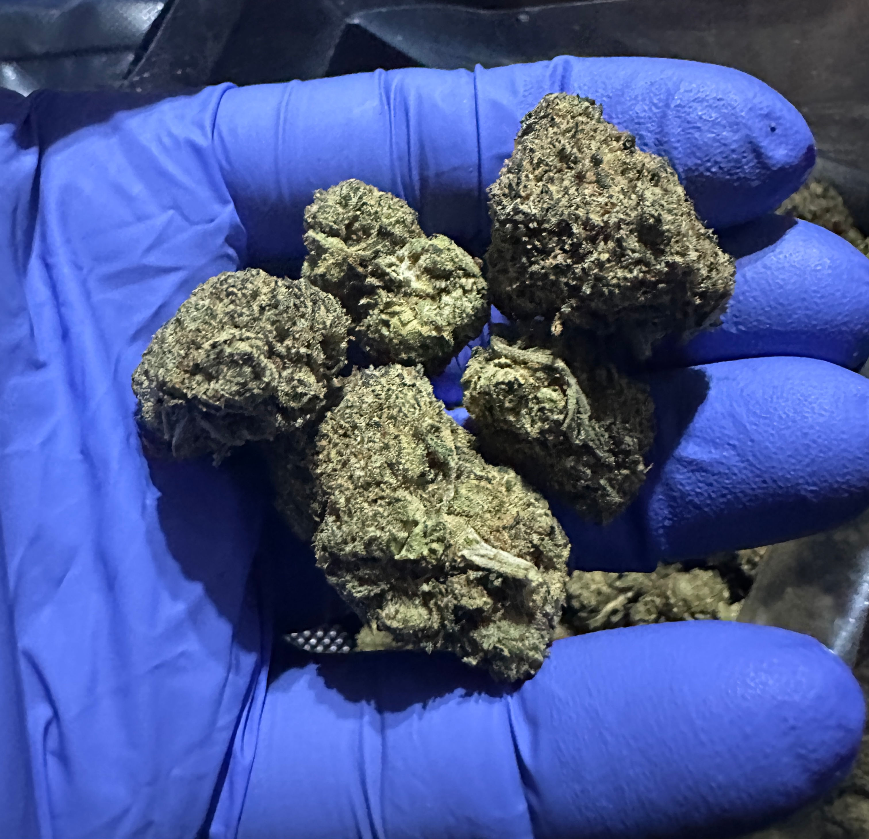 MagiC CanDy (Magic Candy Mountain OG)