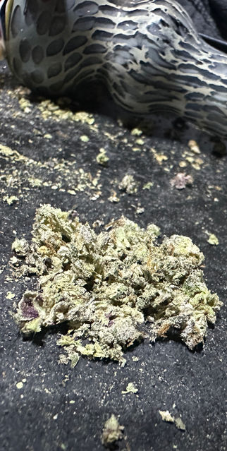 an unrolled joint of donkey butter that glistens with its trichomes. no photos have filters.