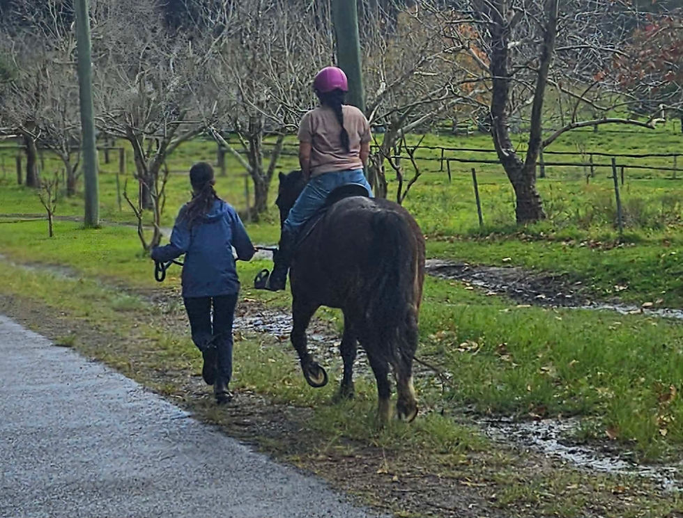 The Benefits of Equine Therapy – At Any Age