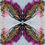 Thumbnail: EARTH ANGEL COLLECTION : 22"x22" Pillowcases (x4)
