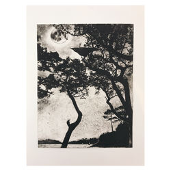 Crow moon