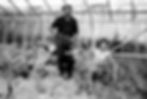 old black and white photograph from 1964 showing roy and thelma fountain with young child nick fountain in old glasshouse