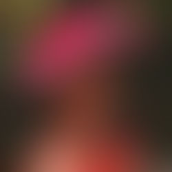 "Bunda na fofinha " está grávida