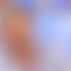 CLÁUDIO RAMOS ELOGIA CORAGEM DE GABRIEL