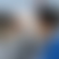 Panelo declara-se em direto a Margarida Castro