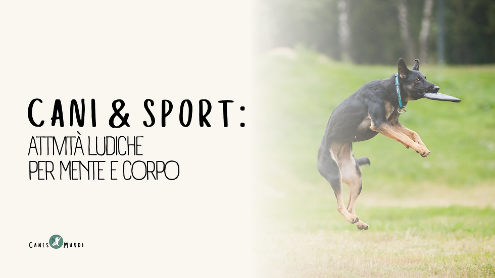 sport corso educatore cinofilo canes mundi