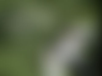 Hridayam Movie Review - A trip down memory lane