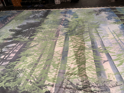 "Spitfire" drop during